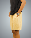 Beige Regular Fit Shorts For Men