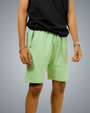 Sage Green Regular Fit Shorts For Men